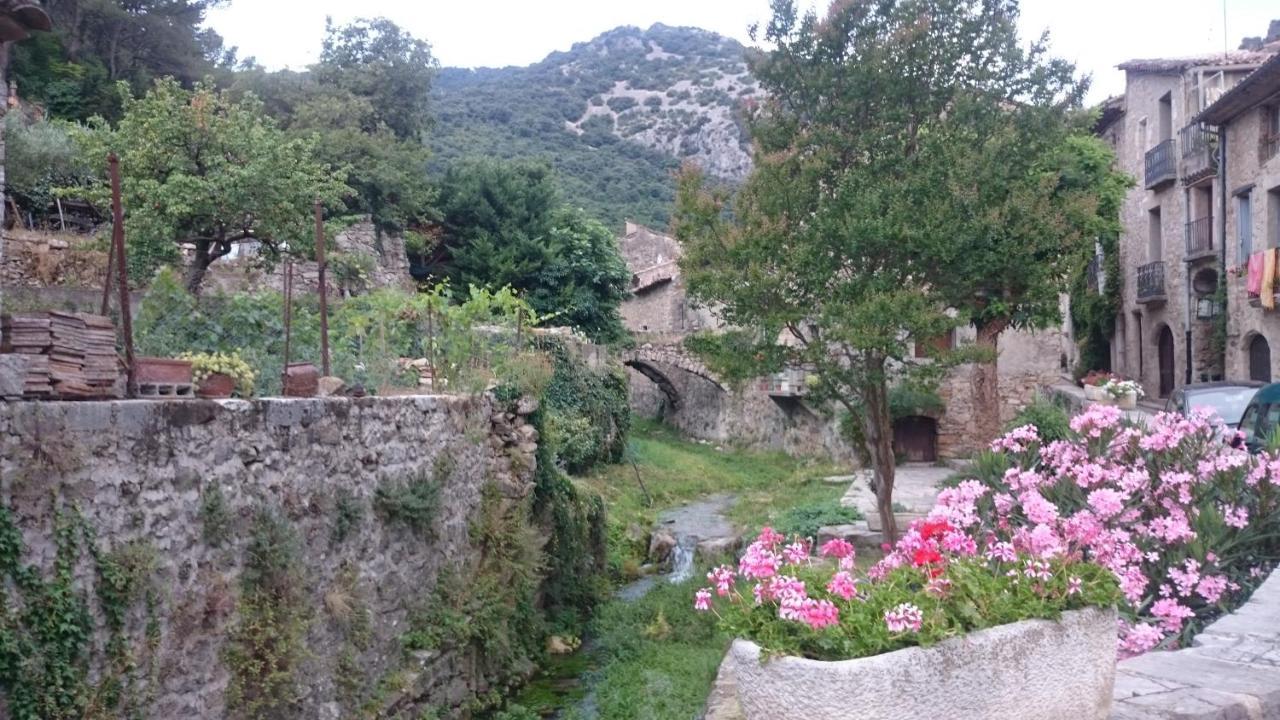 Gite De La Tour Saint-Guilhem-le-Desert Buitenkant foto
